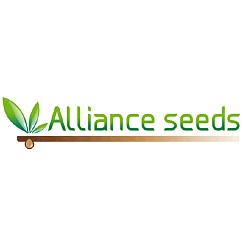 Alliance Seeds
