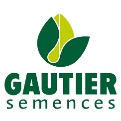 Gautier